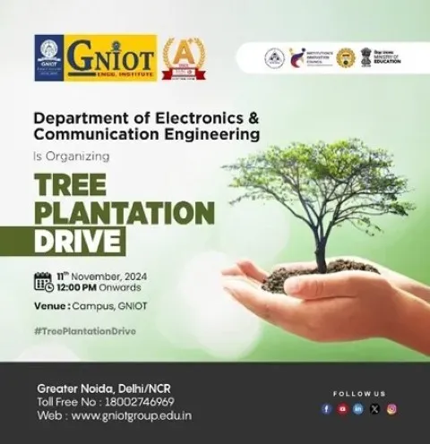 Tree Plantation